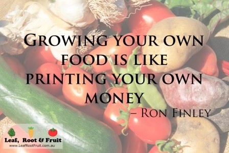 Growing Your Own Food Is Like Printing Your Own Money Leaf Root Fruit Gardening Services