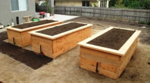 cypress-raised-garden-beds-ringwood - Leaf, Root & Fruit Gardening Services