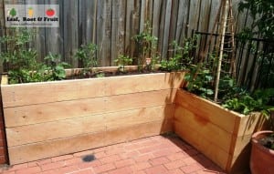 Cypress Sleeper Garden Bed L shaped with step down terrace - Leaf, Root ...