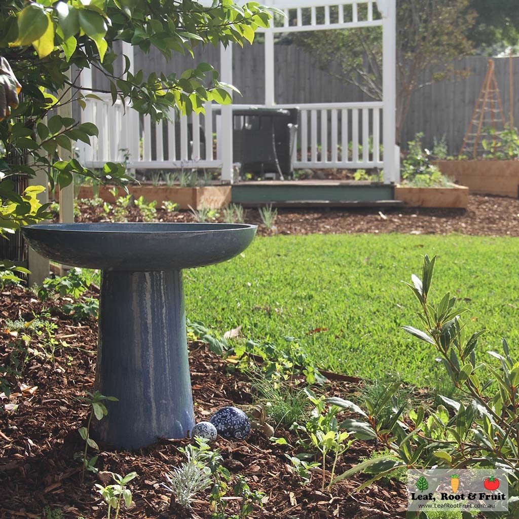 Bird bath landscaping